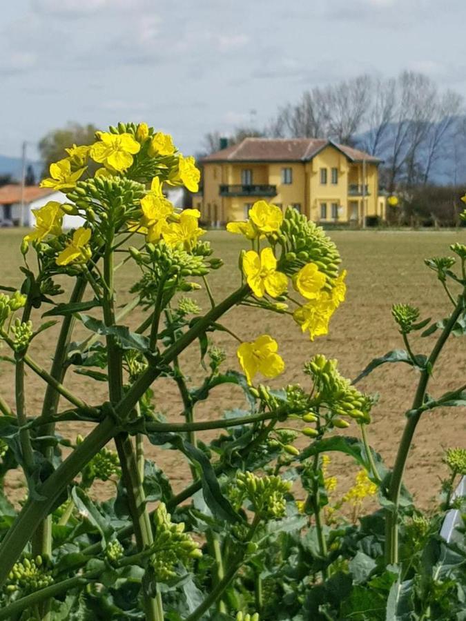 Hotel Valle Del Oja Casalarreina Kültér fotó