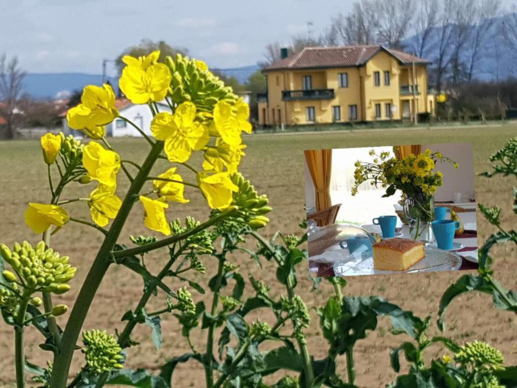 Hotel Valle Del Oja Casalarreina Kültér fotó