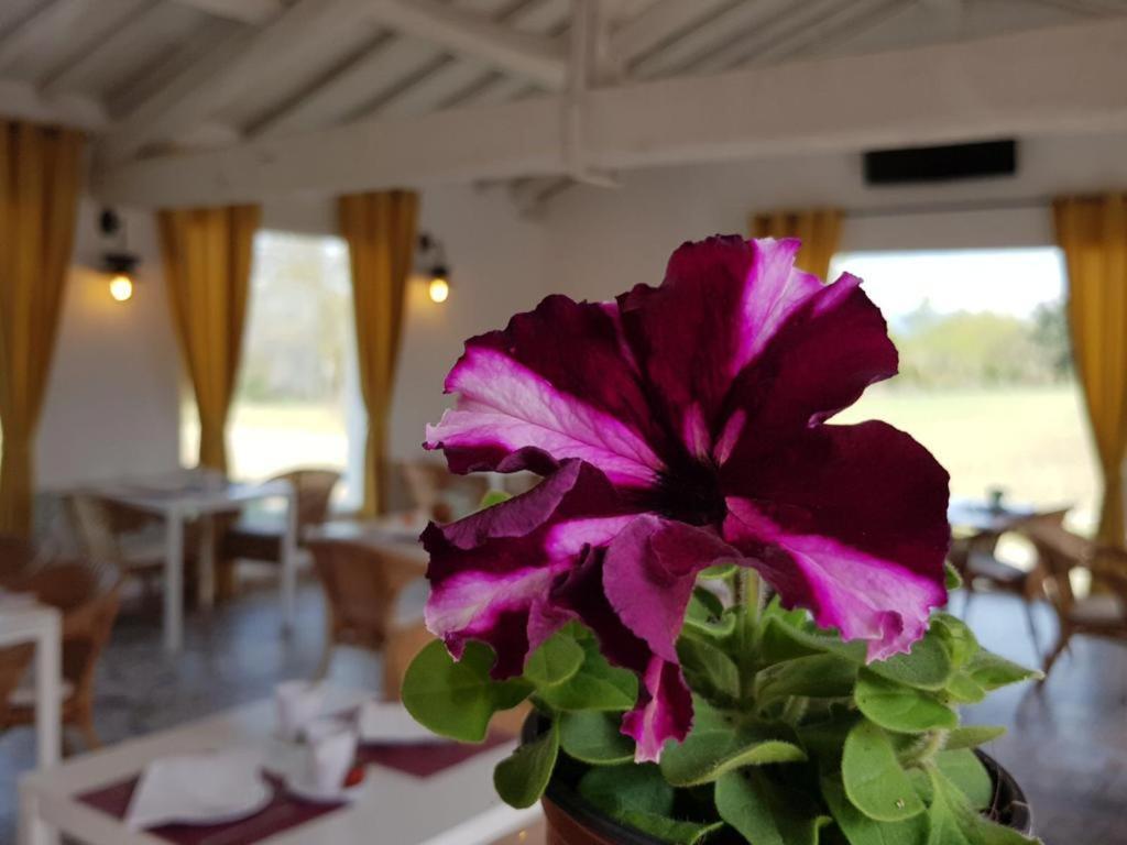 Hotel Valle Del Oja Casalarreina Kültér fotó