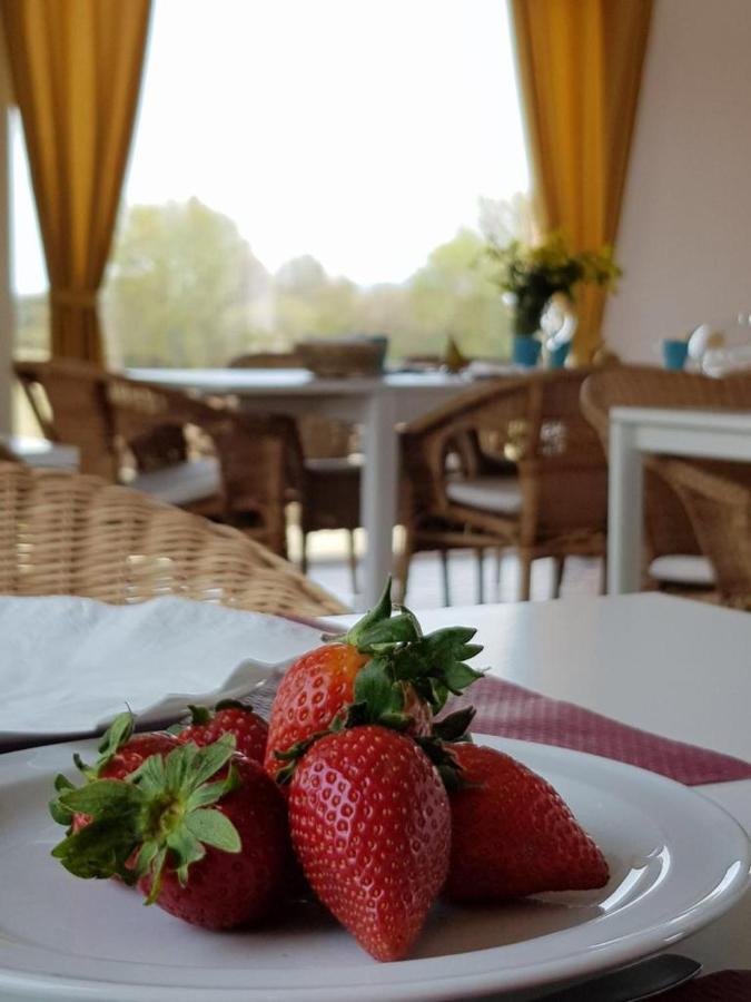 Hotel Valle Del Oja Casalarreina Kültér fotó